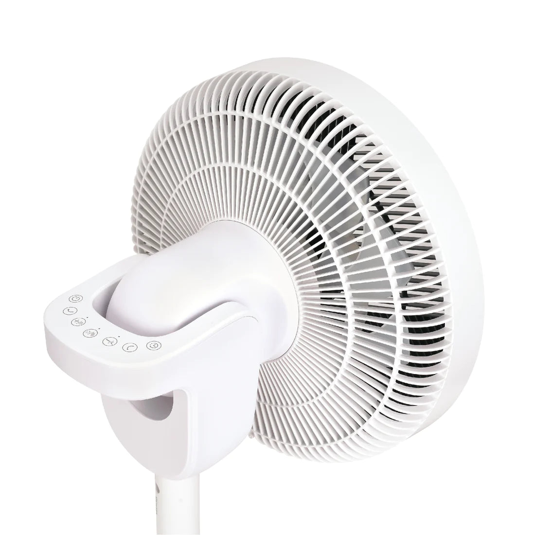 DM DM-SF-ED PLASMA CF fan